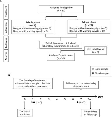 Abnormal Blood Bacteriome, Gut Dysbiosis, and Progression to Severe Dengue Disease